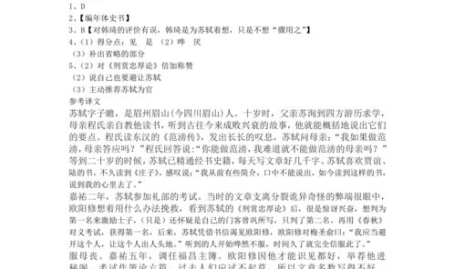 宋史苏轼传,北宋文坛巨匠的生平与成就