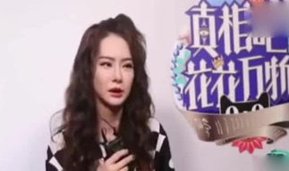 娱乐吃瓜酱小美,粉丝狂热,二次元宅男助力综艺市场新风向