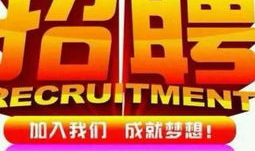 娱乐公司 招聘,开启你的星光演艺之旅