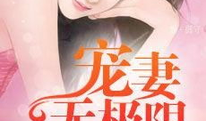 宠妻无限,霸道总裁的甜蜜宠爱之旅