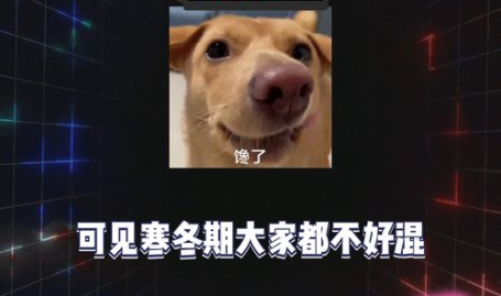 娱乐八卦吃瓜社,明星背后的那些事儿