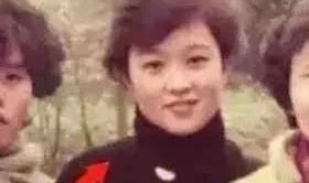 娱乐圈吃瓜资深少女,揭秘明星背后的那些事儿