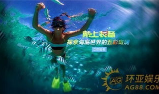 菲亚娱乐,引领潮流的娱乐新势力