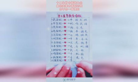 十二生肖最佳婚配表,传统智慧指引美满姻缘