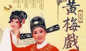 黄梅戏大全100集,传承经典,演绎百态