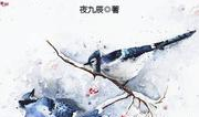 神医枭妃,逆天医术，翻云覆雨的传奇人生