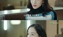 娱乐圈全员吃瓜小说推荐,全民瓜田,谁主沉浮?