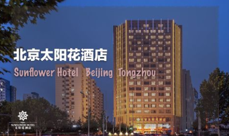太阳花酒店,融合中西管理,打造高品质商务住宿体验